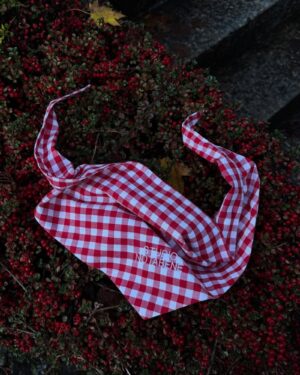 Bildschirmfoto 2026-03-16 um 10.43.39 Upcycled Bandana