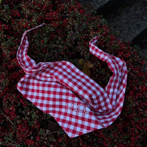 Bildschirmfoto 2026-03-16 um 10.43.39 Upcycled Bandana